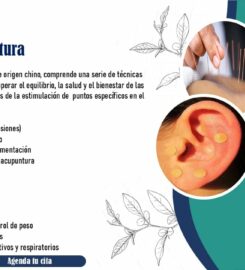 Servicio de masoterapia y terapias alternativas